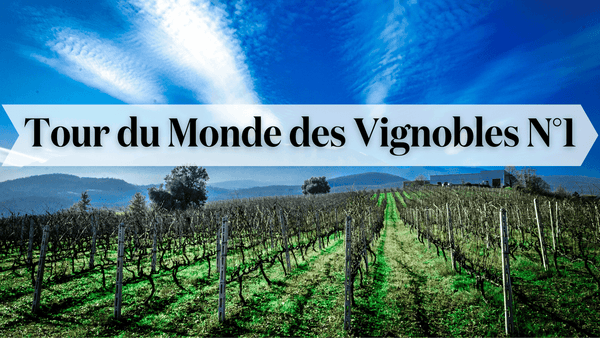 Tour du monde des vignobles n°1 - Le Baroudeur du Vin