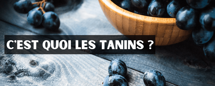C'est quoi les tanins ? - Le Baroudeur du Vin