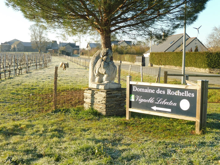 À la conquête des vins d'appélation Anjou Rouge
