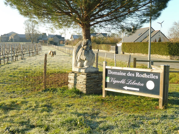 À la conquête des vins d'appélation Anjou Rouge