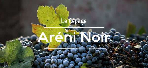 vin rouge cépage aréni noir