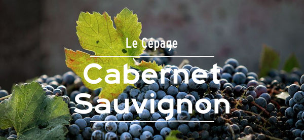 vin rouge cépage cabernet sauvignon