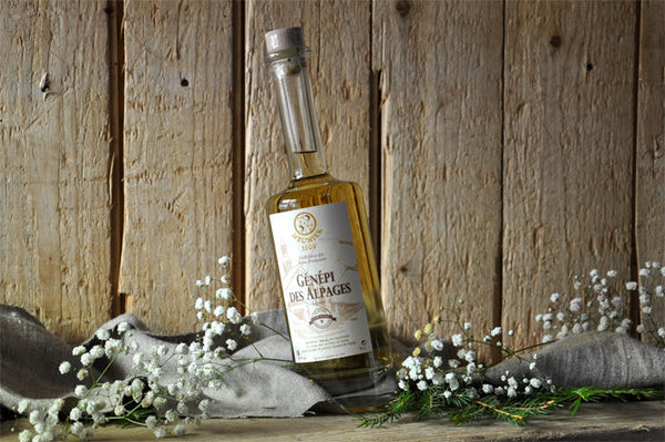le génépi la liqueur de montagne