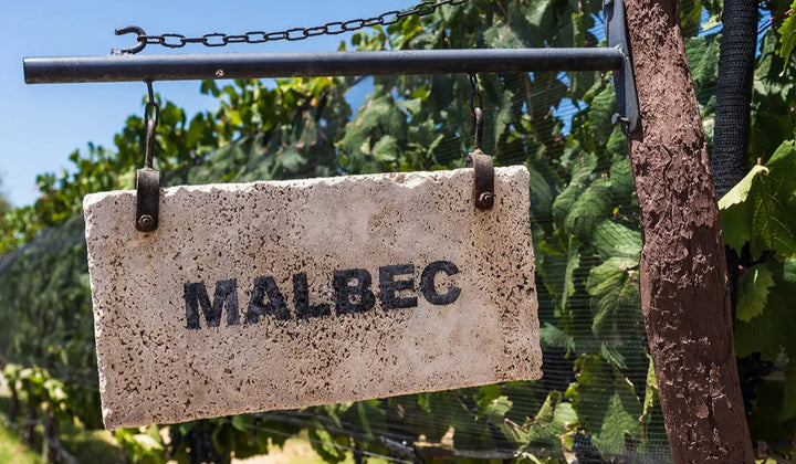 Quand la puissance des Vins d'Argentine devient une référence mondiale grâce au cépage Malbec