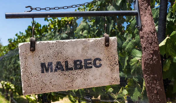 Quand la puissance des Vins d'Argentine devient une référence mondiale grâce au cépage Malbec