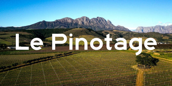 Le pinotage : le cépage phare de l'Afrique du Sud