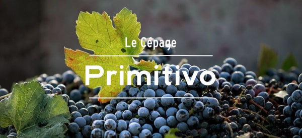 vin rouge cépage primitivo