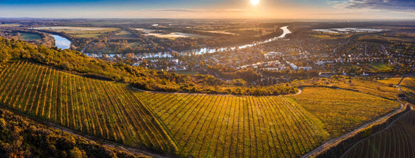 Le vin Tokaji : le roi des vins liquoreux