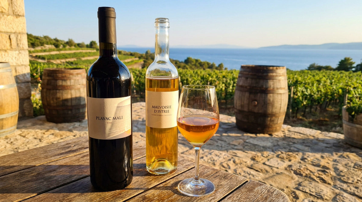 Vins de Croatie et de Slovénie : plavac mali, ribolla et vins oranges