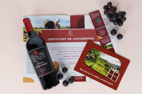 Idées de cadeau autour du vin : Surprenez avec des expériences uniques