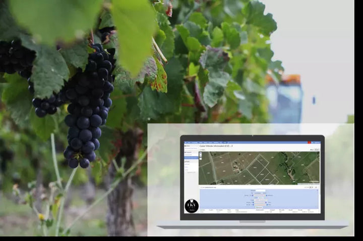 Vignobles et Technologie : Le Logiciel, Outil Clé du Viticulteur