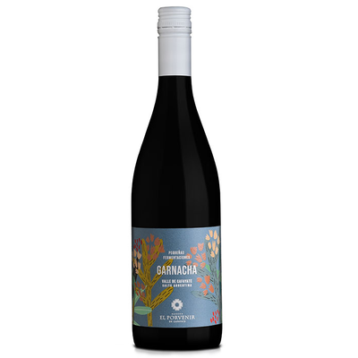 El Porvenir - Pequeñas Fermentaciones Garchacha - 2024