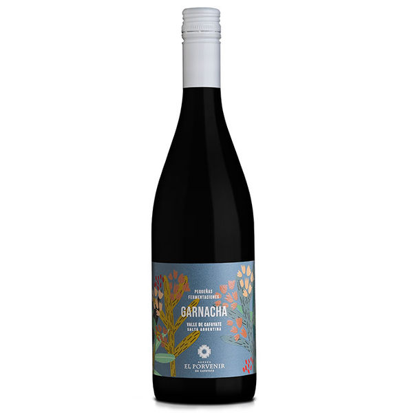 El Porvenir - Pequeñas Fermentaciones Garchacha - 2024