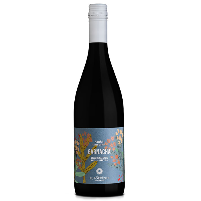 El Porvenir - Pequeñas Fermentaciones Garchacha - 2024