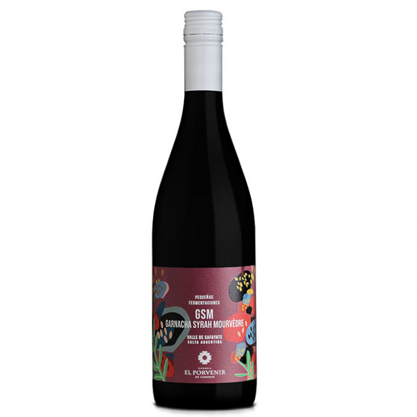 El Porvenir - Pequeñas Fermentaciones GSM - 2022