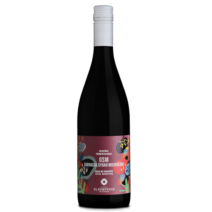 El Porvenir - Pequeñas Fermentaciones GSM - 2022
