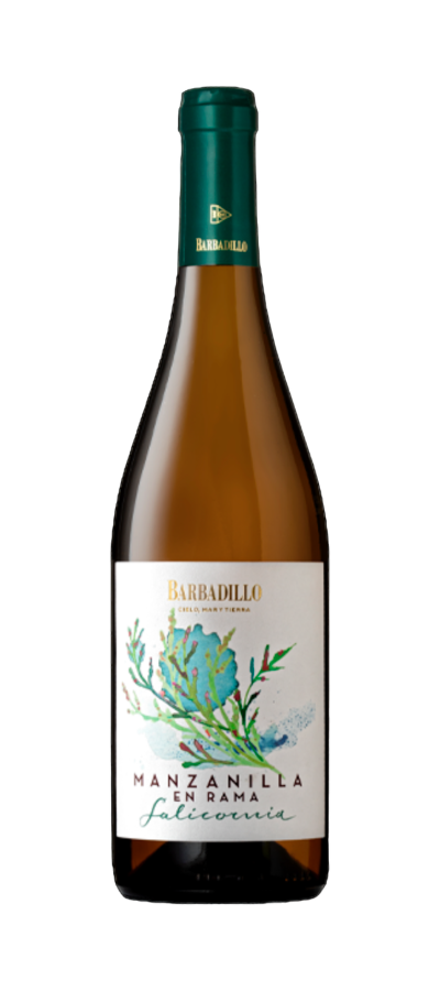 Barbadillo En Singular - Salicornia  NV