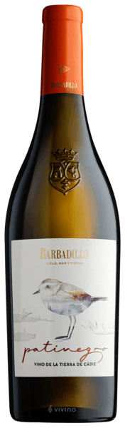 Barbadillo En Singular - Patinegro - 2022