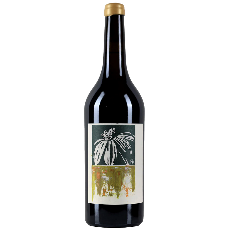 Sine Qua Non - Distenta I - 2019