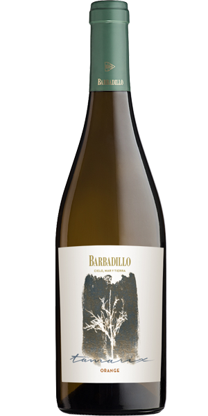 Barbadillo En Singular - Tamarix - 2024