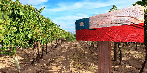 winnice w Chile