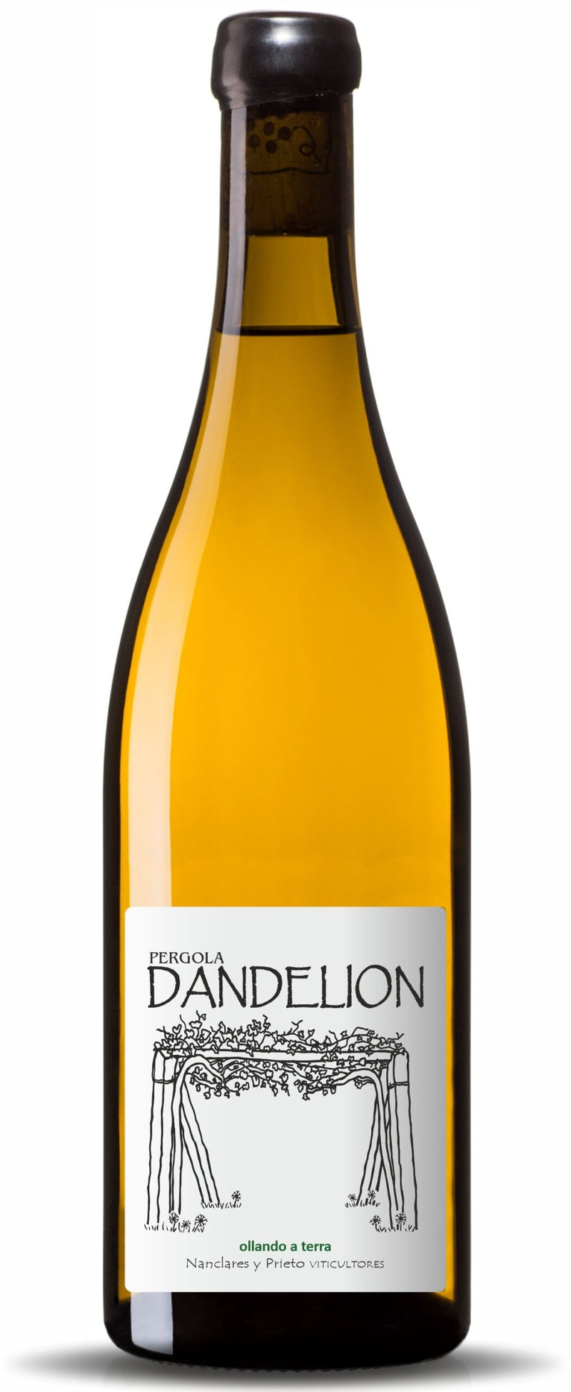 Nanclares y Prieto - Dandelion - 2024