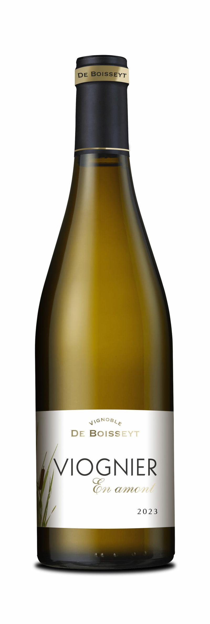 Domaine de Boisseyt - Viognier En Amont - 2024