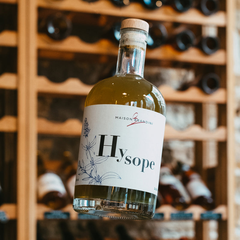 Brandini - Hyssop