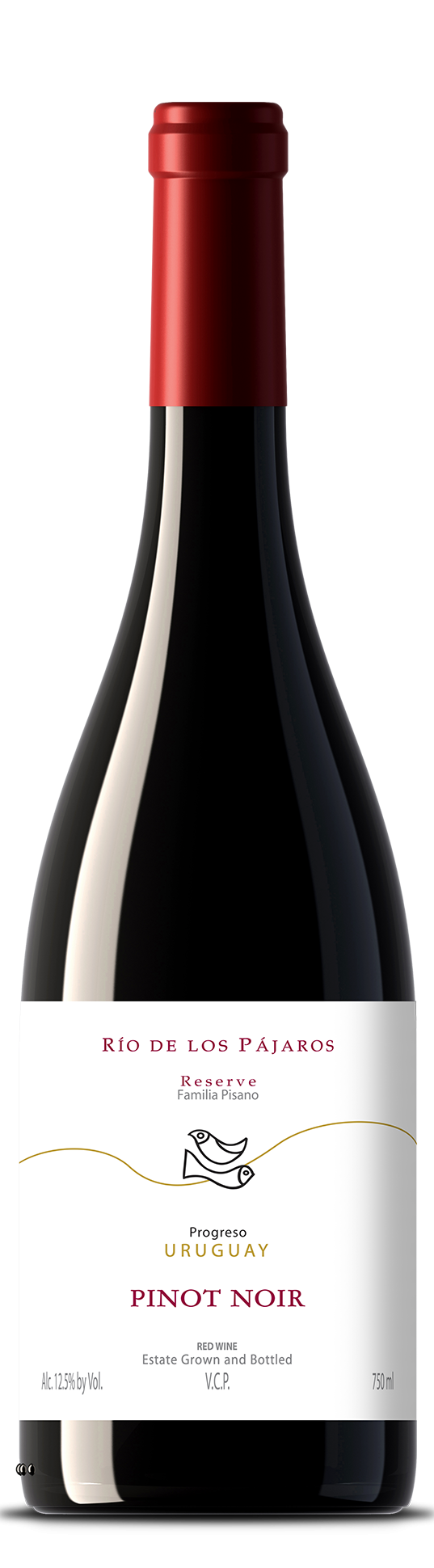 Pisano - Río de los Pájaros Pinot Noir - 2021