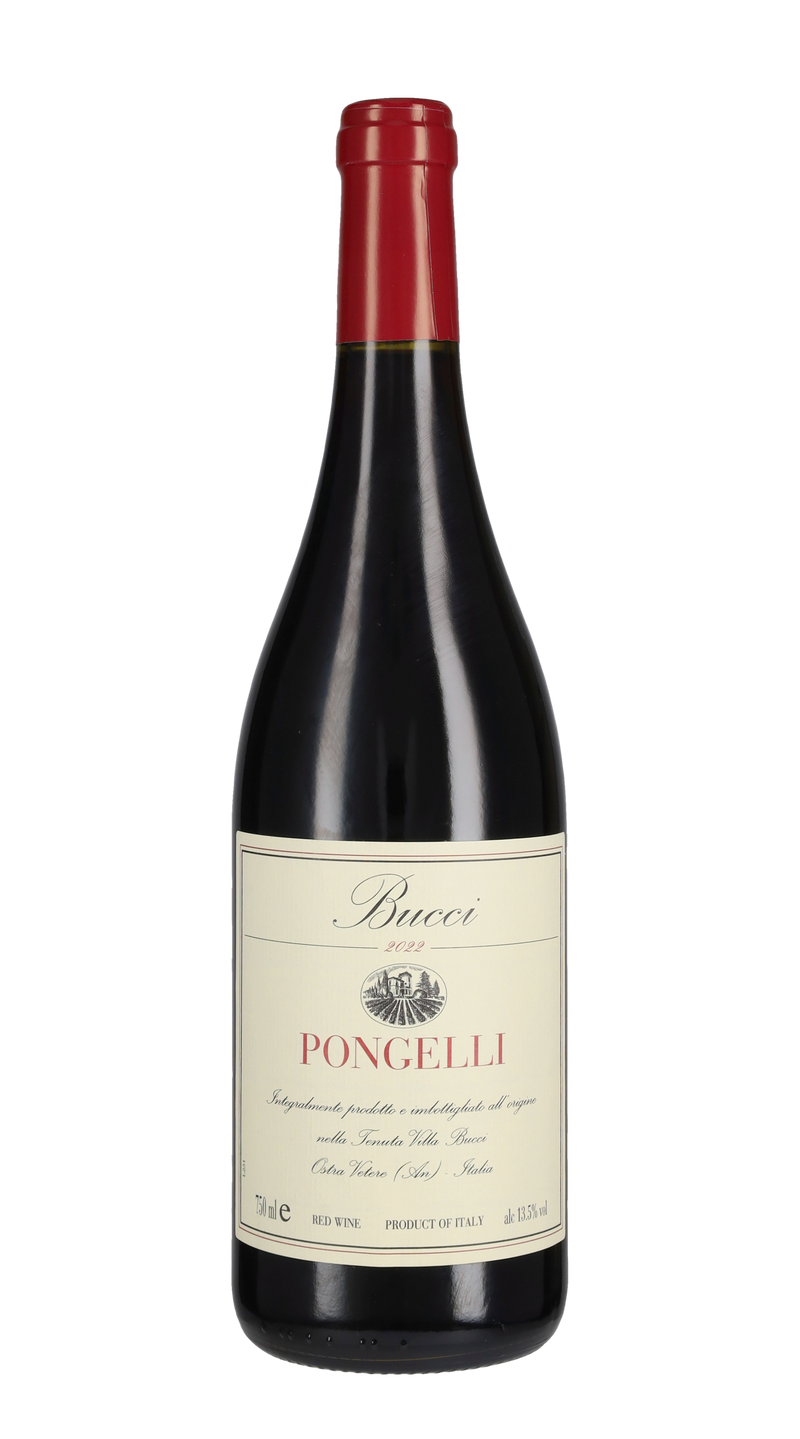 Villa Bucci - Rosso Vieilles Vignes - 2013