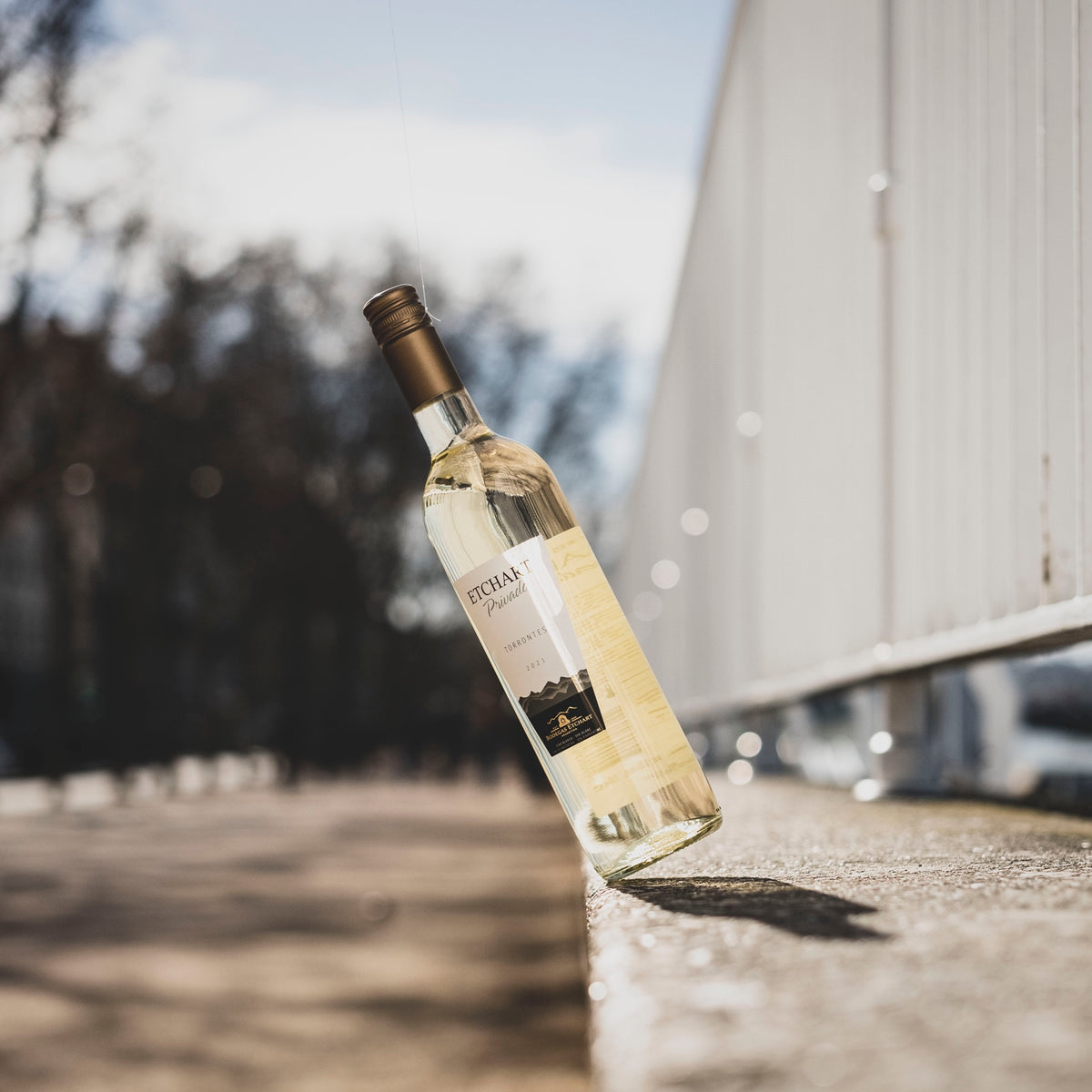 Torrontés Etchart Privado 2021, vin blanc d'Argentine, posé sur un muret au soleil
