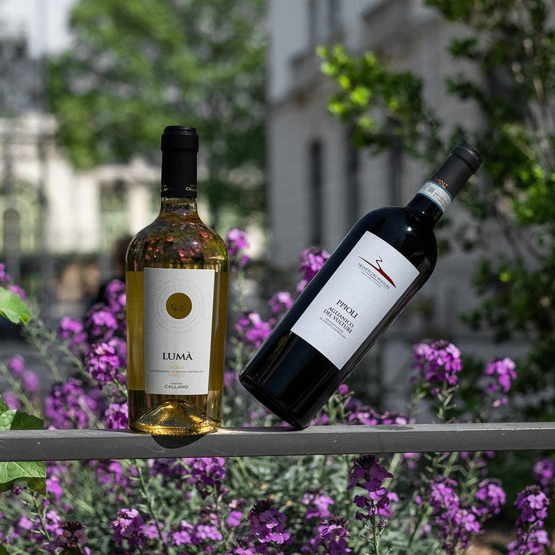 Coffret Italie Mixte - Le Baroudeur du Vin