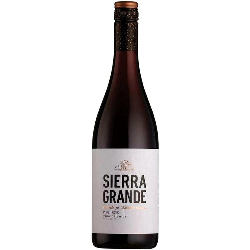 Matetic & Guillaume Letang - Sierra Grande Pinot Noir - 2020 - Le Baroudeur du Vin