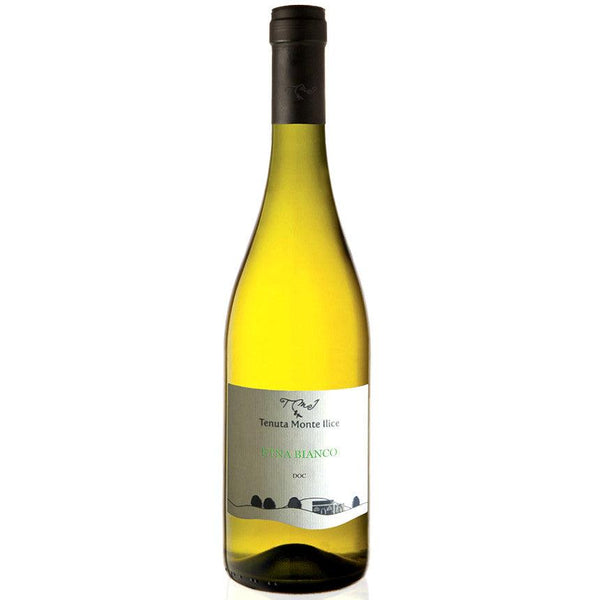 Tenuta Monte Ilice - Etna Bianco - 2019 - Le Baroudeur du Vin