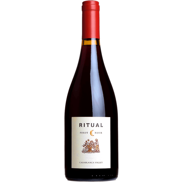 Ritual - Pinot Noir - 2018 - Le Baroudeur du Vin