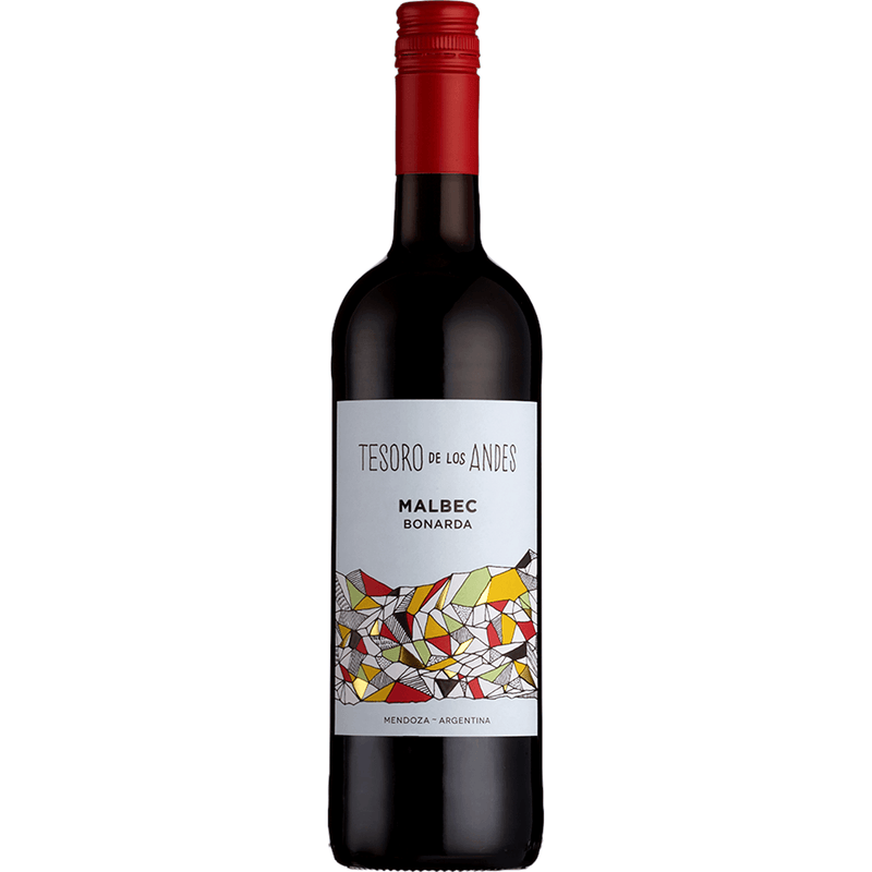 Diego Sinatra & Guillaume Letang - Tesoro de los Andes - 2021 - Le Baroudeur du Vin